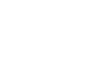 2D photonics logo